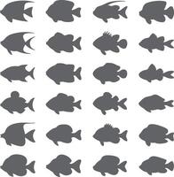 Twenty Four Gray Fish Silhouettes Various Shapes and Sizes Aquatic Life Set Simple Design Graphic vector