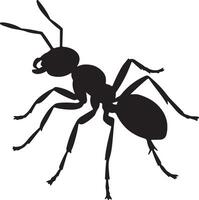 Black Silhouette of an Ant Detailed Illustration Showing Six Legs Antennae and Body Segments on White Background 1 vector