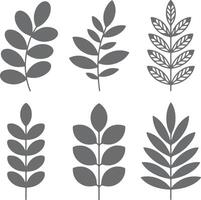 Six Gray Silhouette Leaf Branch Designs Botanical Illustrations Simple Nature Greenery Elements Set vector