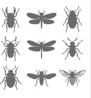 Nine Gray Insect Silhouettes Stag Beetle Dragonfly and Bee Illustrations Nature Collection vector