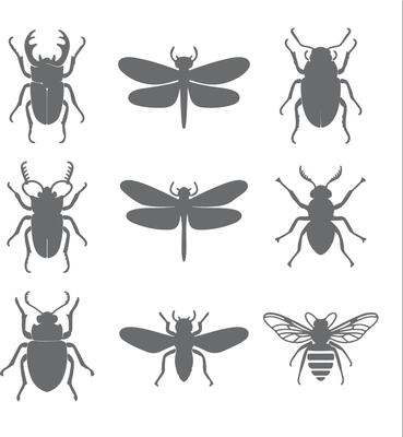 Nine Gray Insect Silhouettes Stag Beetle Dragonfly and Bee Illustrations Nature Collection