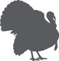 Dark Gray Silhouette of a Turkey Bird Standing Profile View Detailed Feathers Tail vector