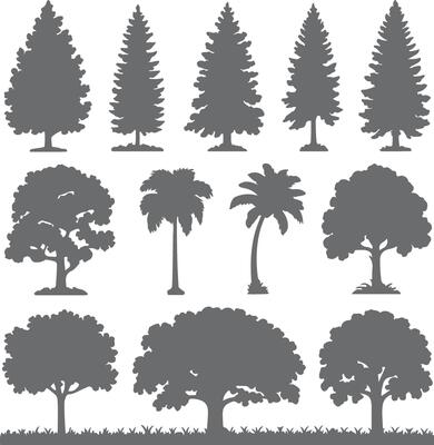 Collection of Gray Tree Silhouettes Various Types Coniferous Deciduous Palm Trees Isolated on White Background Simple Flat Design Illustration