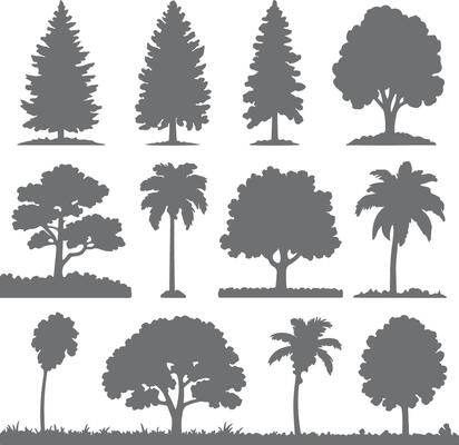 Twelve Gray Silhouette Trees Collection Various Types Coniferous Deciduous Palm Trees Isolated on White Background Simple Graphic Design Elements