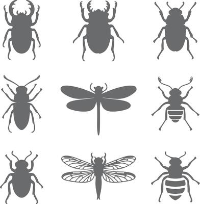 Nine Gray Insect Silhouettes Stag Beetle Dragonfly Bee Collection Nature Wildlife Graphic Design Elements