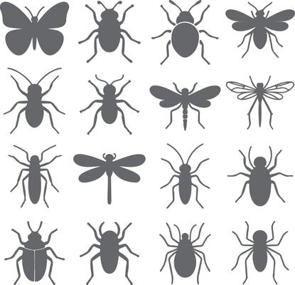 Sixteen Gray Insect Silhouettes Collection Butterfly Beetle Dragonfly Ant Spider Graphic Design Elements Set