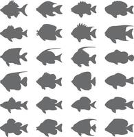 Collection of Grey Fish Silhouettes Diverse Aquatic Life Forms Simple Gray Fish Shapes Set of Various Fish Species Gray Scale Fish Icons vector