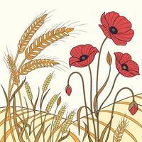 Vibrant red poppies bloom amongst golden wheat fields in stylized art vector