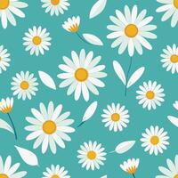 Seamless pattern of white daisies on teal background vector