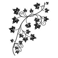 Black and white ivy vine design element vector
