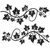 Black and white ivy vine leaf design elements vector