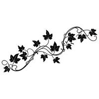 Elegant black and white ivy vine design element vector