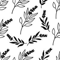 Black and white seamless pattern of botanical line art vector