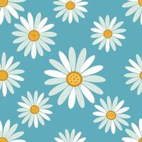 Seamless pattern of white daisies on blue background vector