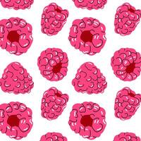 Seamless pattern with hand drawn raspberry fruits on white background. Bright summer design perfect for packaging, textile, and kitchen decor. vector