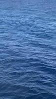 Calm ocean water surface creating tranquil natural background with ripples and gentle texture video