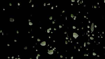 Abstract animation of vibrant green leaves gently falling and swirling against a deep black background, creating a serene and natural video