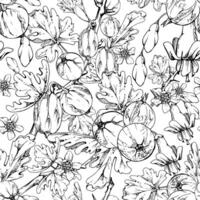 Gooseberry berries flower buds leaves clusters on thorny branch, ripe garden casseille currant. Hand drawn in ink. Seamless pattern isolated. Kitchen linens fabric, packaging, wrapping paper vector