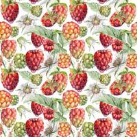 Colorful raspberry pattern design vector