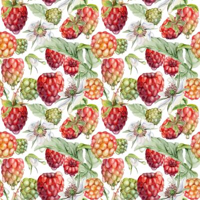 Raspberry ripe garden berries, flowers in water dew drops. Seamless isolated pattern tile hand drawn in watercolor. Home preserves, food store decor, textile washi tape, packaging, wrapping paper