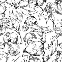 Currant gooseberry flying in water dew drops with green leaves, ripe garden berry casseille juneberry jostaberry hand drawn in ink. Isolated seamless pattern. Fabric, wrapping paper, wallpaper vector