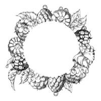 Raspberry berries leaves wreath in water splash, dew drops hand drawn in ink. Ripe garden dewberry cloudberry mulberry loganberry. Isolated circle frame. Fresh grocery drinks, preserves recipes vector