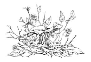 Golden chanterelle girolle mushroom, blueberry berries on top of fallen autumn leaves pile with twigs, branches. Fungi nature illustration hand drawn in ink. Forest floor habitat ecosystem. vector