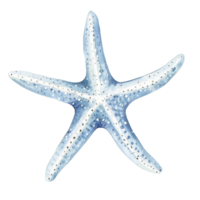 Starfish resting on a sandy ocean floor in a calm marine environment under gentle sunlight png