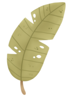 Green tropical leaf with distinctive shapes and textures against a plain background in a minimalistic design png