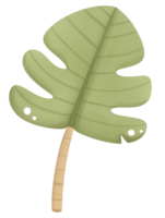 Green monstera leaf illustration with distinctive shape and texture featuring a light green color palette and stylized details png