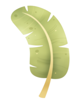 Bright green tropical leaf design with bold outline and soft texture in an artistic illustration png