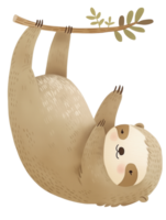 Cute sloth hanging on a branch surrounded by green leaves in a playful illustration style png