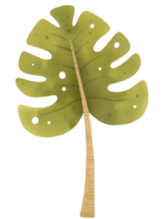 Monstera leaf illustration designed in a simple and modern style showcasing its unique shape and texture png