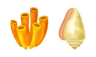 Seashell as Hard Marine Snail Shell and Coral Set vector