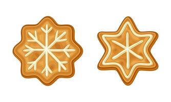 Gingerbread cookies of snowflake and star shape set. Baked festive biscuits in icing sugar cartoon illustration vector