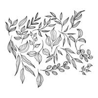 Abstract Leaves Vintage Outline Style Illustration vector