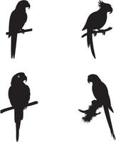 Set Of Parrot silhouette perched on branch in bold black illustration vector