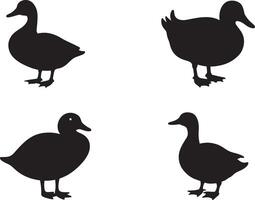 Set of duck silhouette with rounded body and webbed feet vector