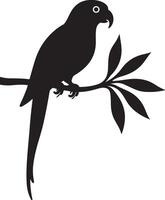 High-resolution parrot silhouette with curved beak and upright posture vector