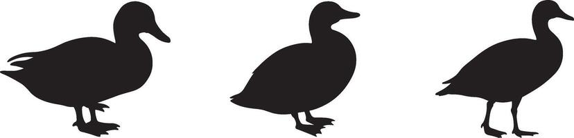 Clean and detailed duck silhouette set on white background vector