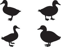Walking duck set black for nature print projects vector