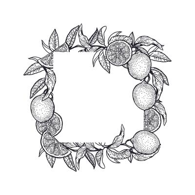 Lemons frame square in graphic style with black ink. Fruits and leaves. Hand drawn illustration. For food and cosmetic labels, jam, lemonade, banners, posters, invitations, postcards.