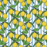 Colorful lemon pattern with leaves vector