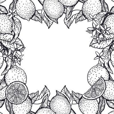 Lemons frame square in graphic style with black ink. Fruits, leaves and flowers. Hand drawn illustration. For food and cosmetic labels, jam, lemonade, banners, posters, invitations, postcards.
