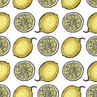 Pattern of whole and sliced lemons vector