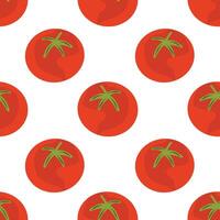 Tomatoes seamless pattern on a white background. Simple seamless pattern with vegetables vector