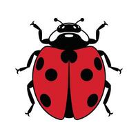 Ladybug Design isolated on white back ground vector