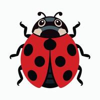 Ladybug illustration Isolated on white background. vector