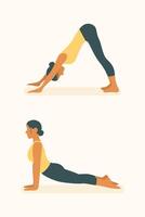 Woman transitioning between downward and upward dog poses, improving spine mobility and strength through yoga and pilates flow vector