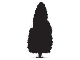 Silhouette of cypress tree with dense foliage isolated on white background, graphic illustration. Concept of conifer, nature element, landscape design, evergreen plant, black tree icon vector